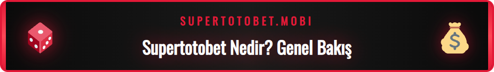 Platformun ana sayfasını gösteren Supertotobet giriş adresi.